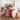 Mesa 3 PC Comforter Set from Your Lifestyle by Donna Sharp