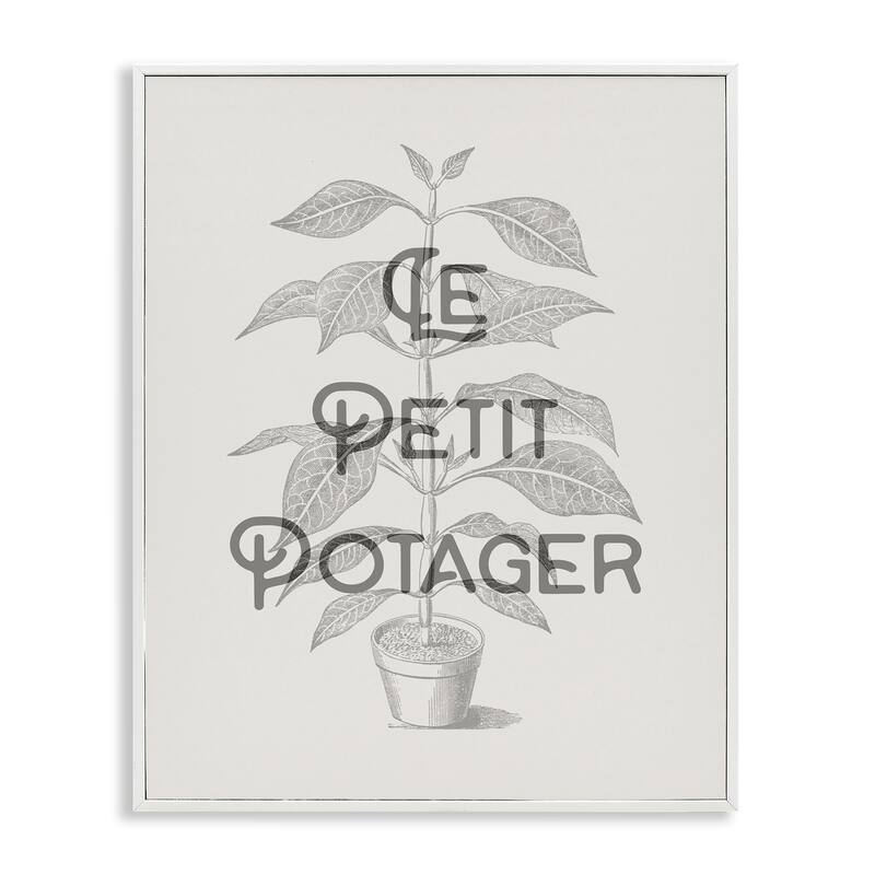 Stupell Vintage French Plant Phrase Framed Giclee Art Design By Lil' Rue - 16 x 20 - White