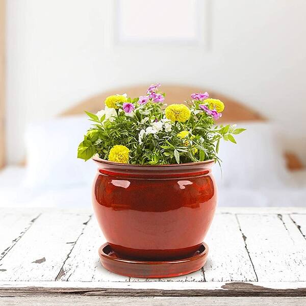 Southern Patio Wisteria 12 Inch Ceramic Planter Pot with Saucer, Red (2  Pack) - 8.82 - Bed Bath & Beyond - 36063210