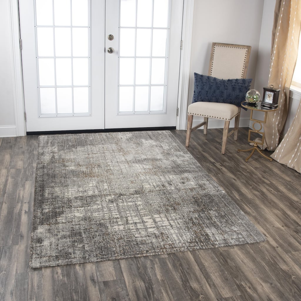 Alora Decor Cara Transitional Gray Recycled Polyester Area Rug