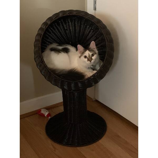 elevated wicker cat bed