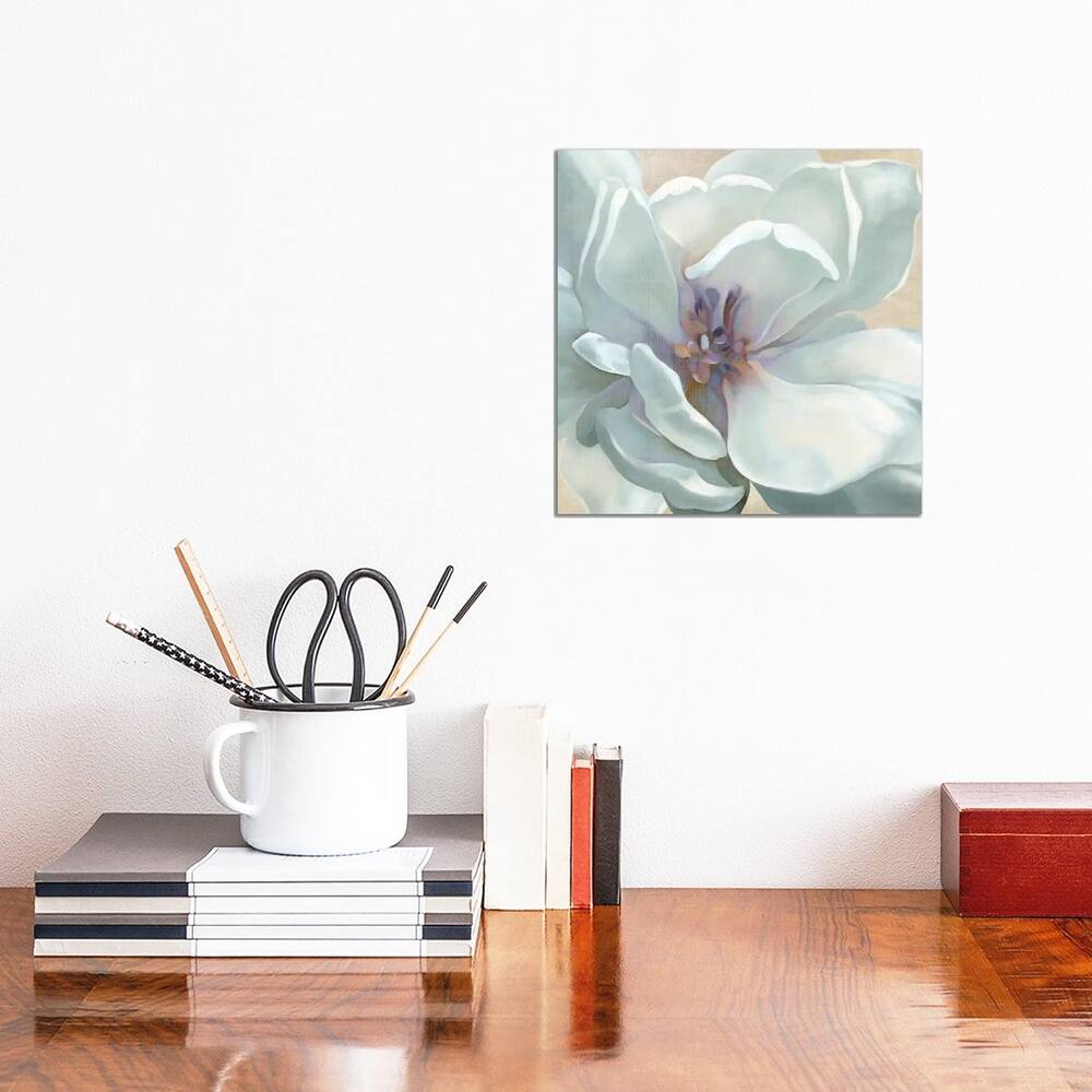 iCanvas "Iridescent Bloom I" by Carol Robinson Canvas Print