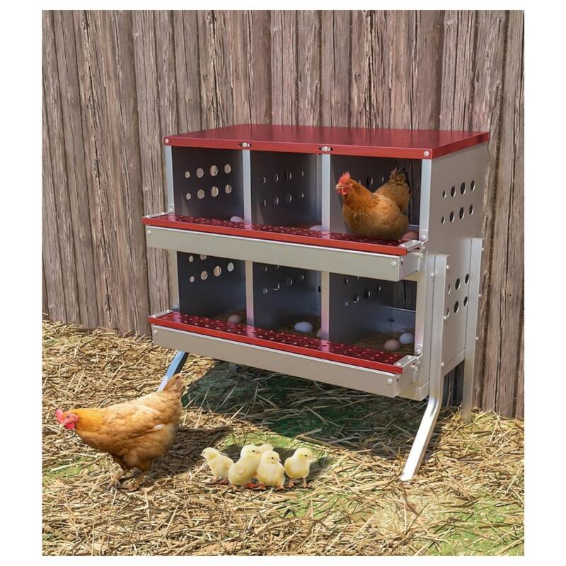 6-Compartment Chicken Nest Box Hens Laying Nest with Metal Legs and 8 Fake Training Eggs Red - Red