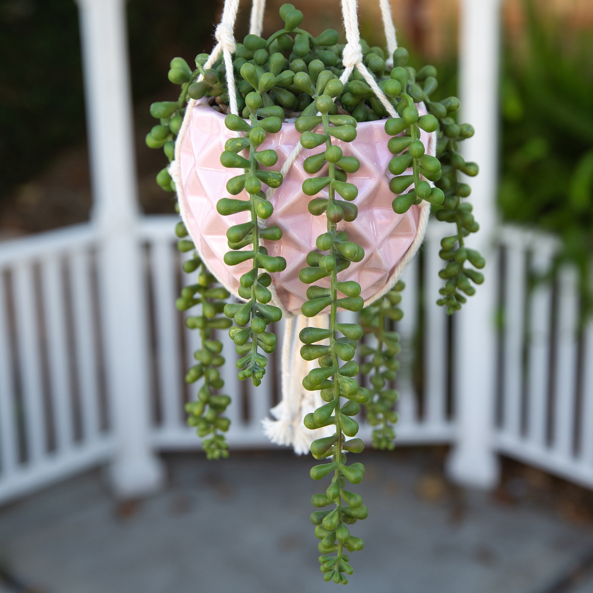 5 x 5" Ceramic Macrame Hanging Planter Pot
