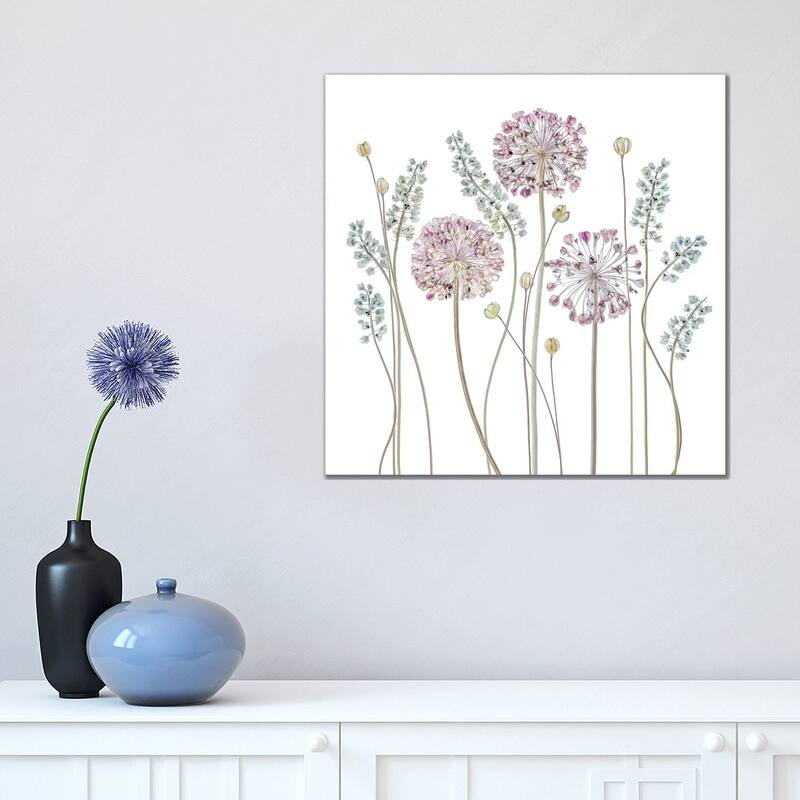 iCanvas "Allium" by Mandy Disher Canvas Print - 18x18x1.5
