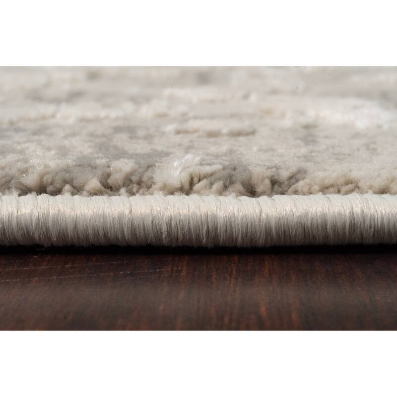Dynamic Rugs Quartz Traditional Area Rug