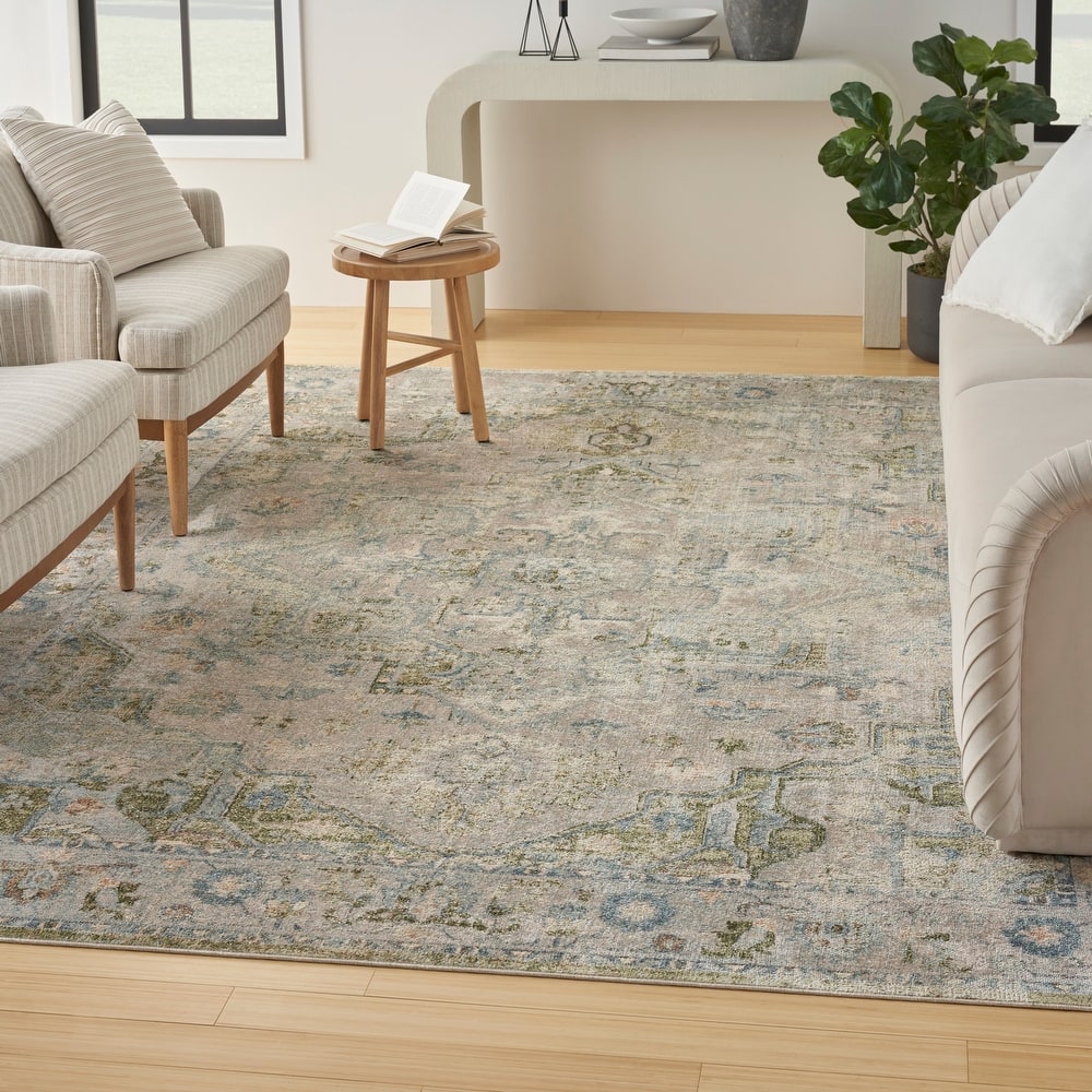 Nourison Astra Machine Washable Distressed Area Rug