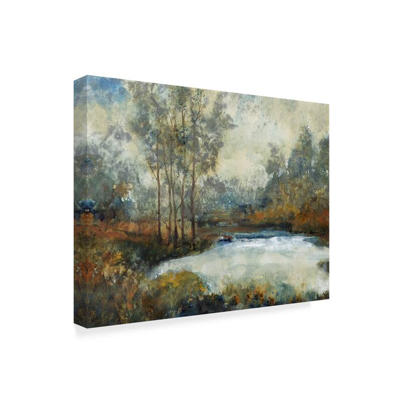 Tim Otoole 'Ethereal Light I' Canvas Art