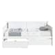 Option White
