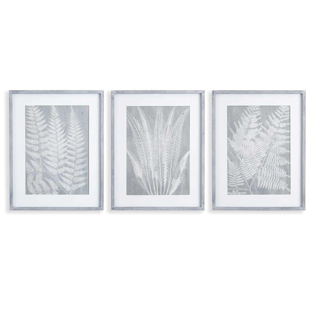 Fern Frond Prints