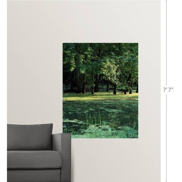 Shop Algae Covered Backwaters Of Mississippi River Upper Mississippi National Wildlife Refuge Iowa Poster Print On Sale Overstock 16881382