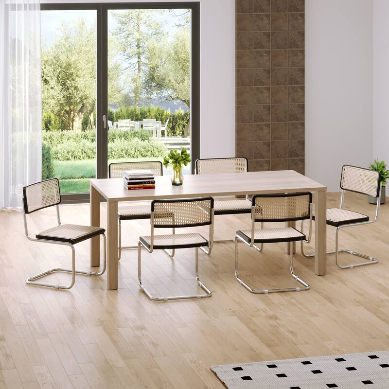 JASIWAY Mid century Modern Rattan Side chairs (Set of 2)