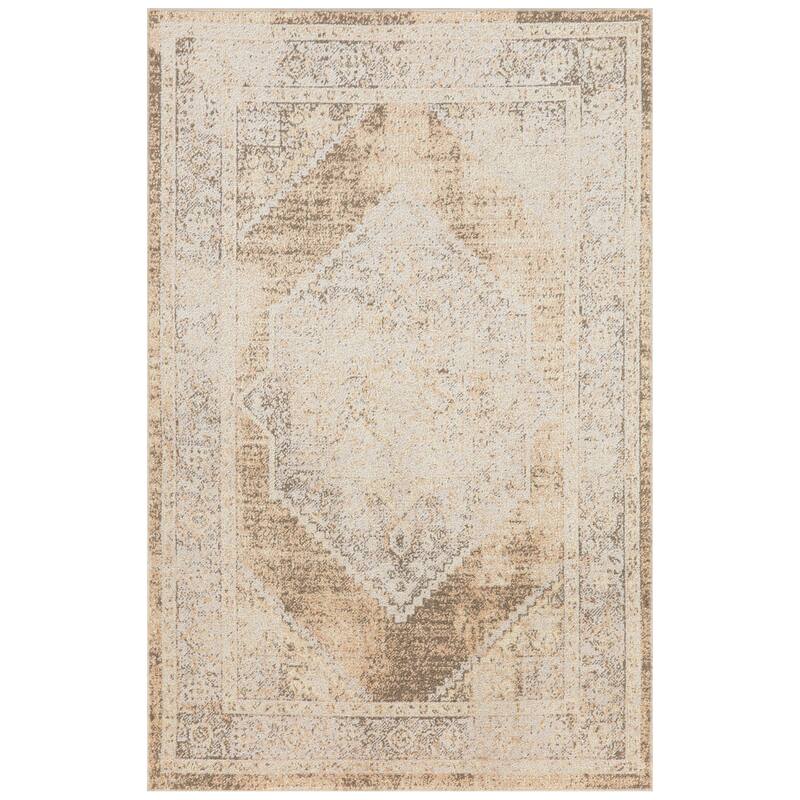Nourison Astra Machine Washable Persian Area Rug - 2' 2" x 4' - Beige - Rectangle