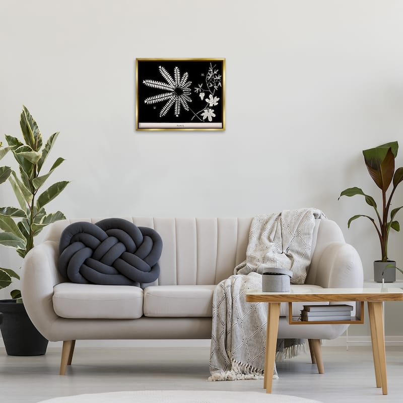 Stupell Ferns & Leaves on Black Framed Floater Canvas Wall Art Design By Phillipa Katz