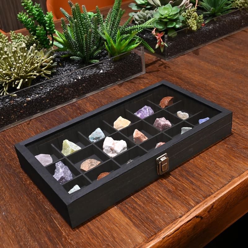 Wooden Display Storage Case with Tempered Glass Lid - S