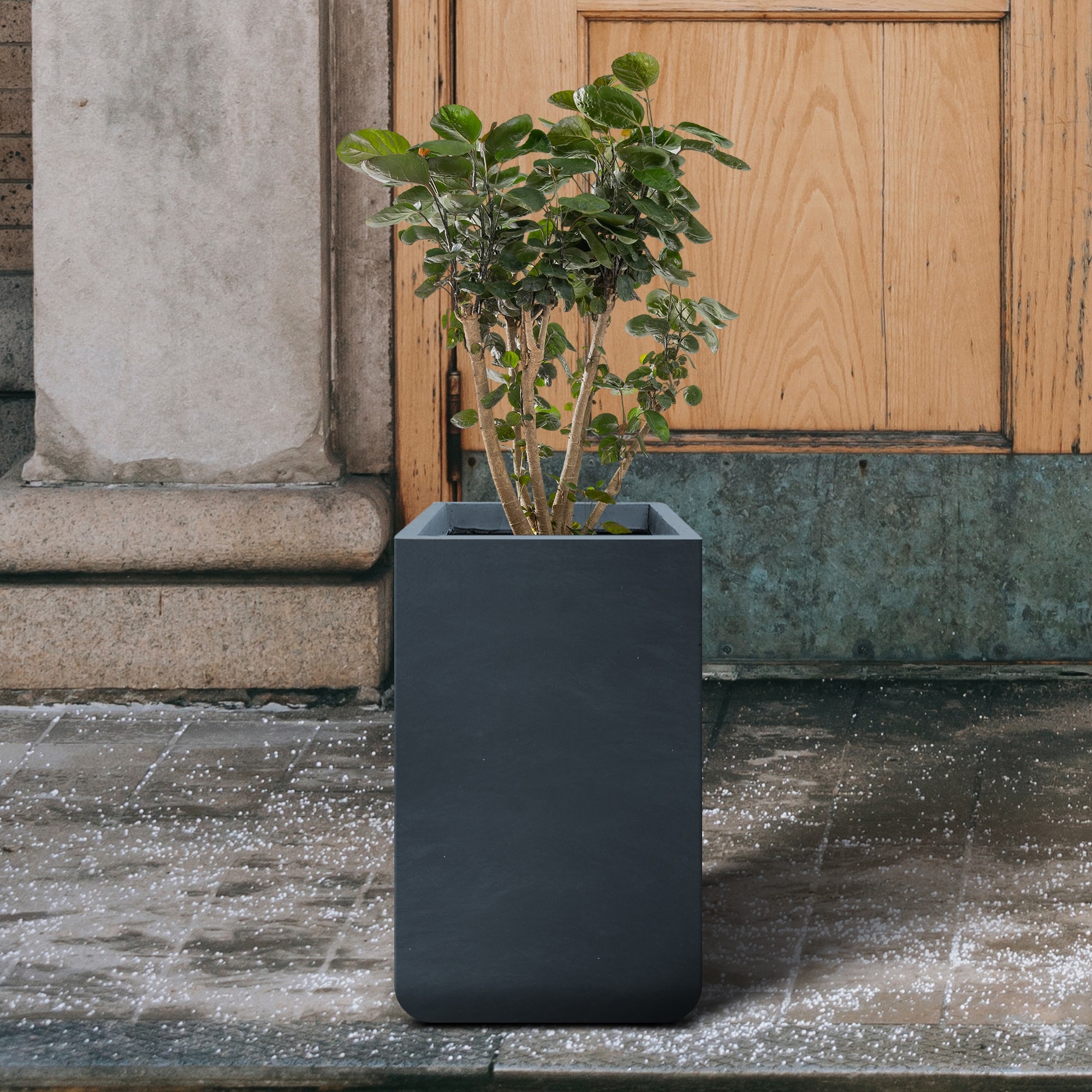 Kante Square Charcoal Finish Concrete and Fiberglass Tall Planter