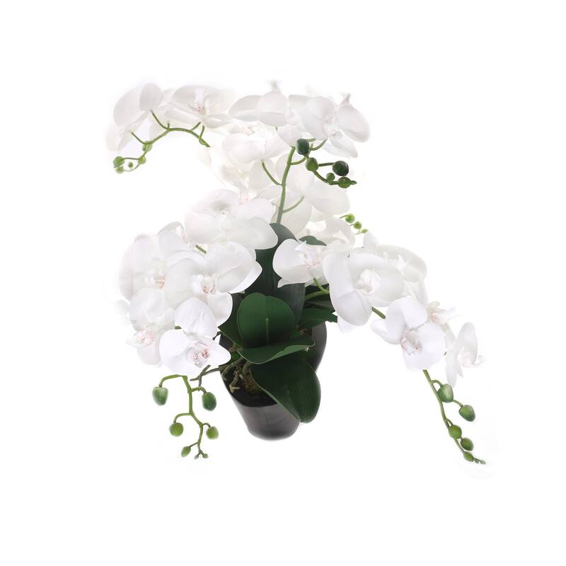 White Real Touch Phalaenopsis Orchids in Modern Black Pot