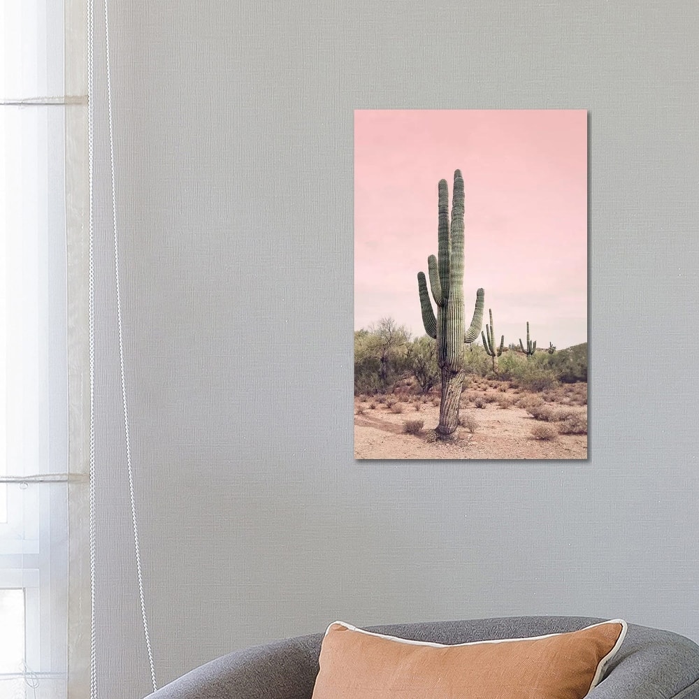 iCanvas "Desert Cactus Blush" by Sisi & Seb Canvas Print