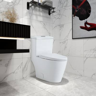 BNK One Piece Toilet with Soft Closing Seat Dual Flush Elongated Bowl Modern Bathroom, Luxury White Contemporary Ceramic