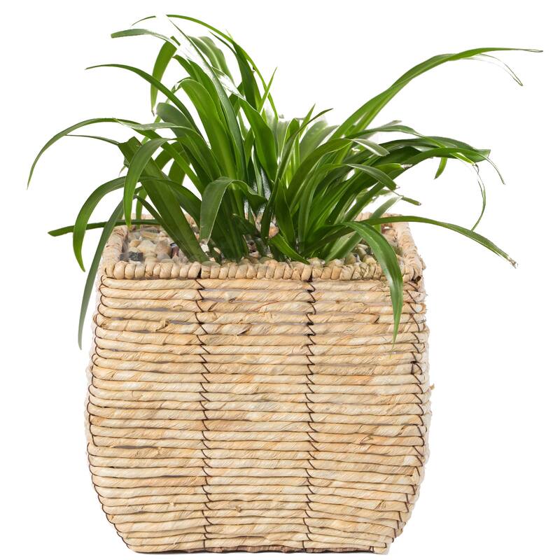 Woven Square Flower Pot Planter with Leak-Proof Plastic Lining - Medium