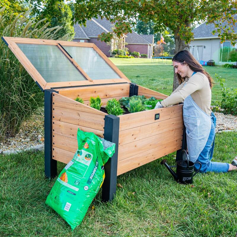 Backyard Discovery Aggie 4x2' Cedar Cold Frame Mini Greenhouse, PC Lid - aggie c
