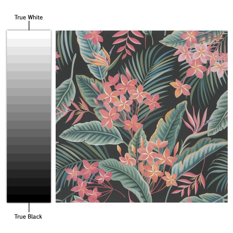 Merola Tile Imagine Botanical Paradise 19-3/8" x 19-3/8" Porcelain Floor and Wall Tile