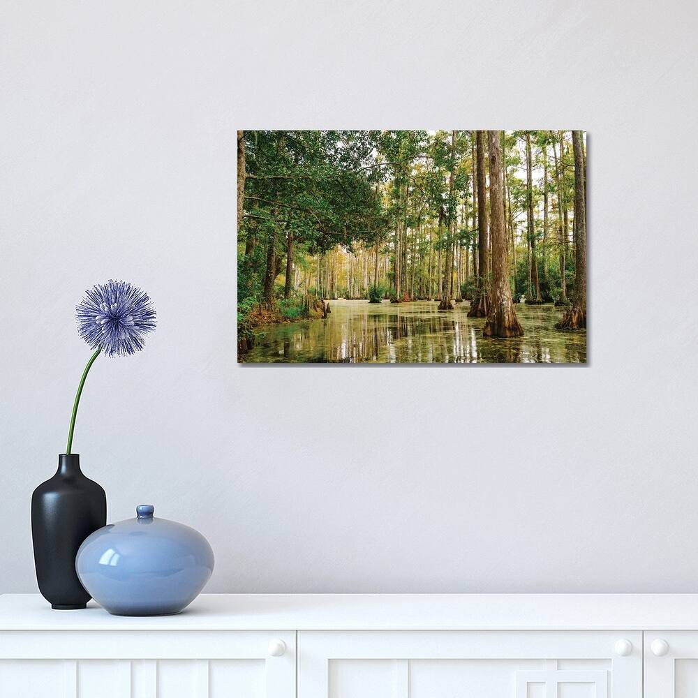iCanvas "Charleston Cypress Gardens XLI" by Bethany Young Canvas Print