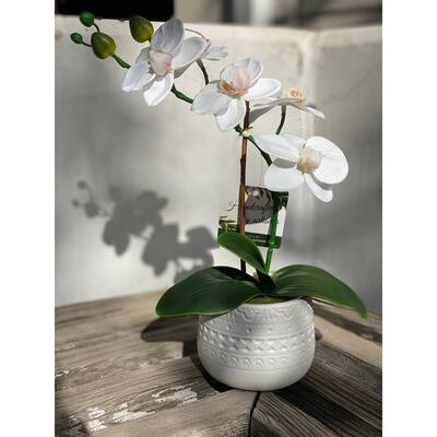 12" Real-touch orchid in WH Mayan ceramic pot,E PACK - ONE-SIZE
