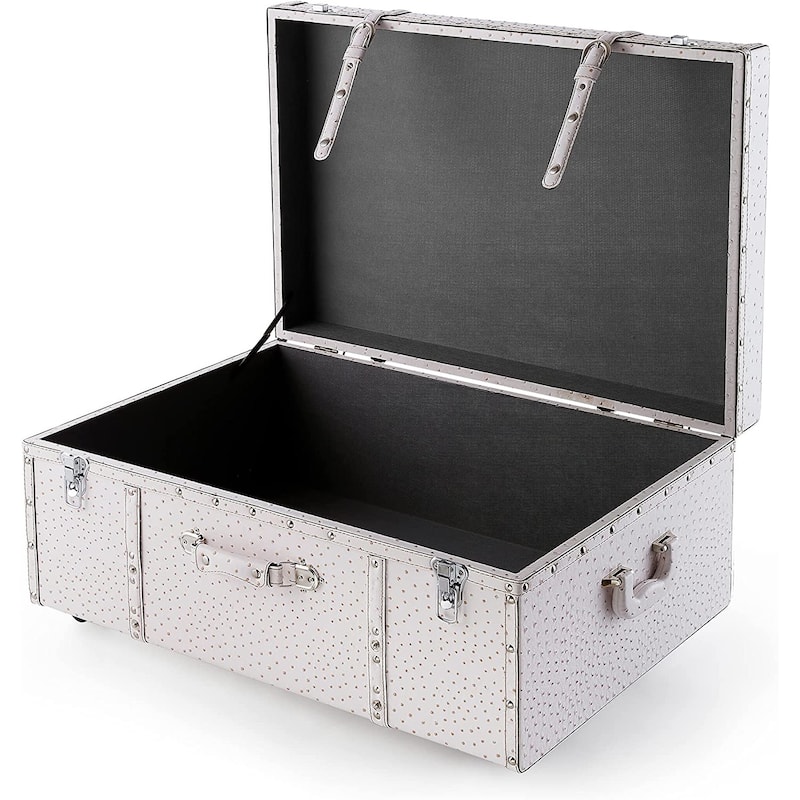 Texture® Brand Trunk - Faux Ostrich by DormCo - 29"L x 20"W x 14"H