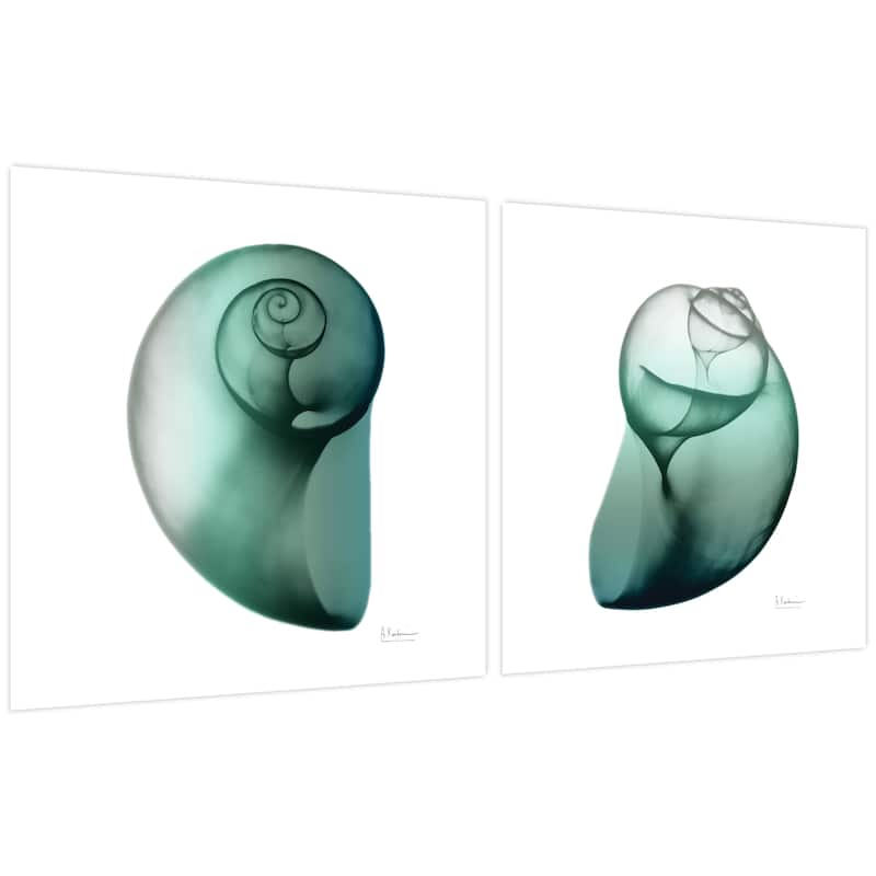 "Shimmering Snail I & II" Frameless Free Floating Tempered Glass Panel Graphic Wall Art - White