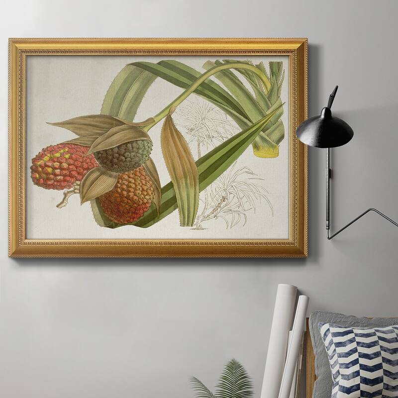 Tropical Foliage & Fruit III Premium Framed Canvas- Ready to Hang