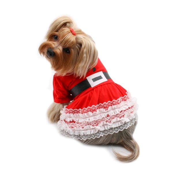 dog christmas dress medium Amazon.com : Dog Christmas Dress Dog Christmas Costumes Girl Snowman Stretchy Pet Dress Funny Pet Costumes Puppy Clothes with Bowtie Outfit for Small Dogs Cats Puppy(S) : Pet Supplies