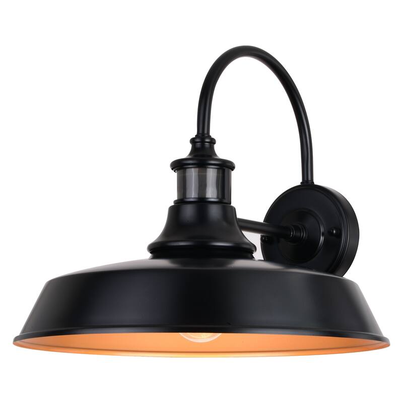 Dorado Bronze Motion Sensor Dusk to Dawn Farmhouse Barn Dark Sky Outdoor Wall Light