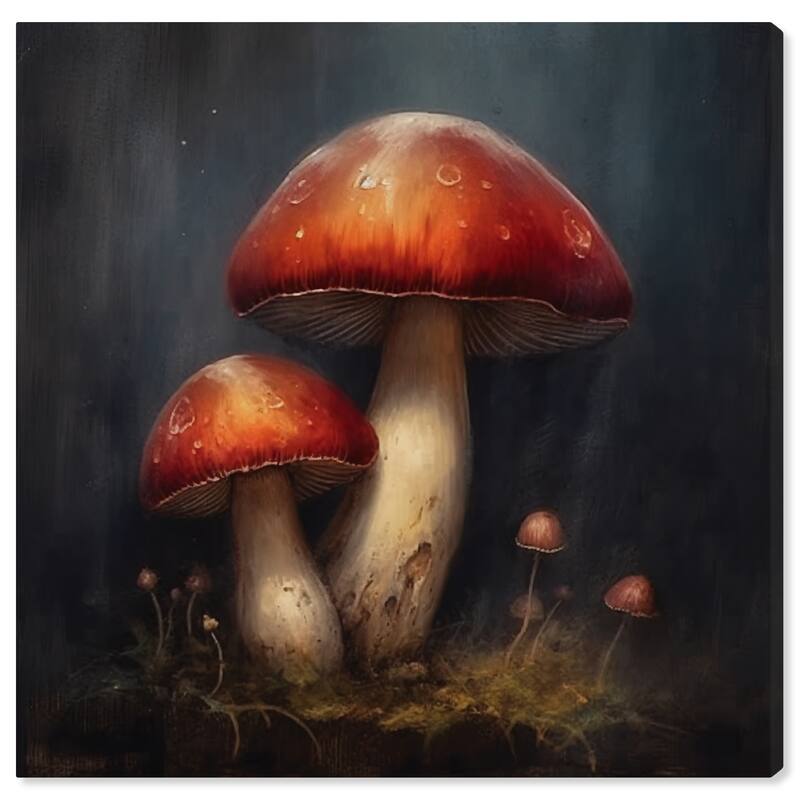 Wynwood Studio Canvas Floral and Botanical Mushrooms in the Night Red and Dark Gray Traditional Wall Art Canvas Print