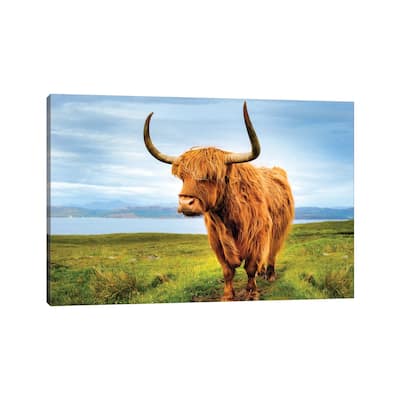 iCanvas "Highland Cow IV" by Susanne Kremer Canvas Print