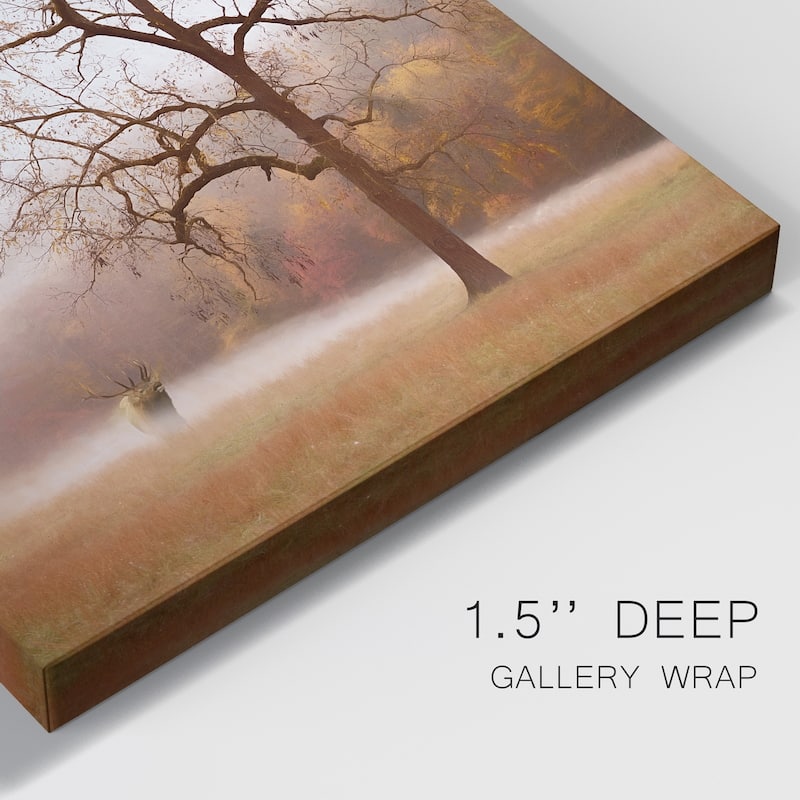 Photography Study Elk in the Mist Premium Gallery Wrapped Canvas - Ready to Hang