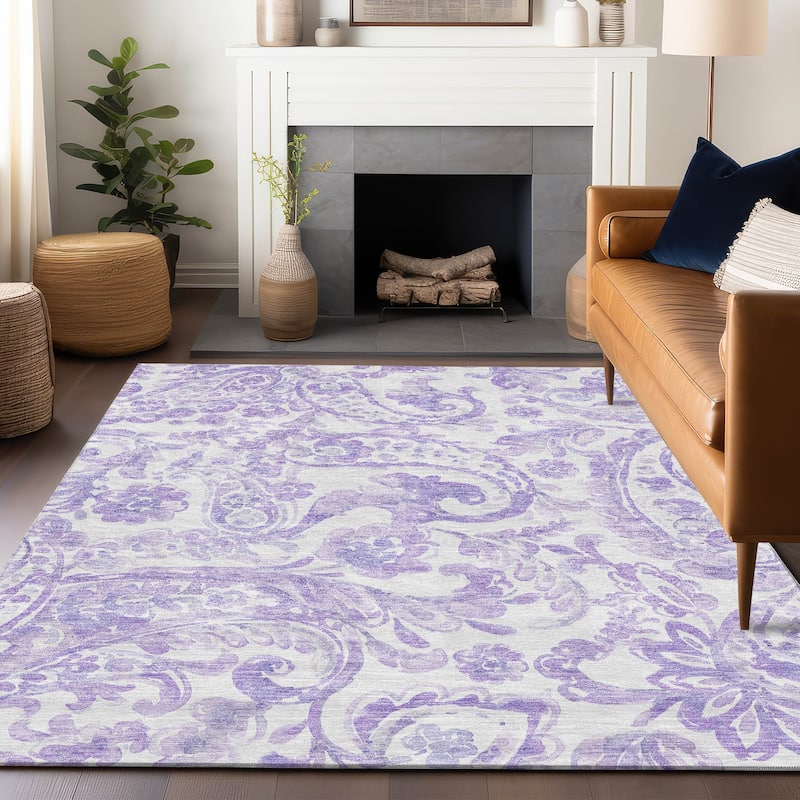 Premium Washable Super Soft Modern Paisley Mayfield Rug