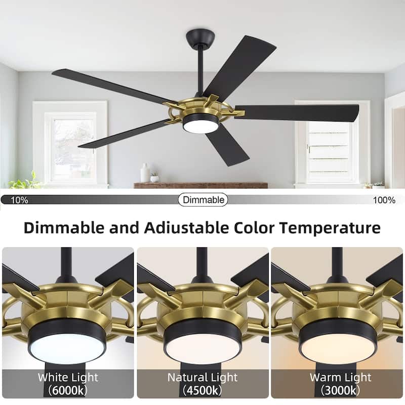 MLiAN 60 In. 5-Plywood Blades Indoor Ceiling Fan with Light Kit and Remote