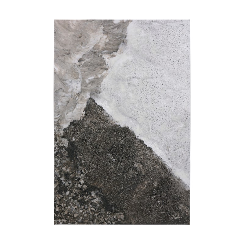 Mudslide IV (40 x 60 ) Canvas Art Print - Large
