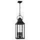 preview thumbnail 1 of 7, Bradford 4-light Outdoor Hanging Lantern Black