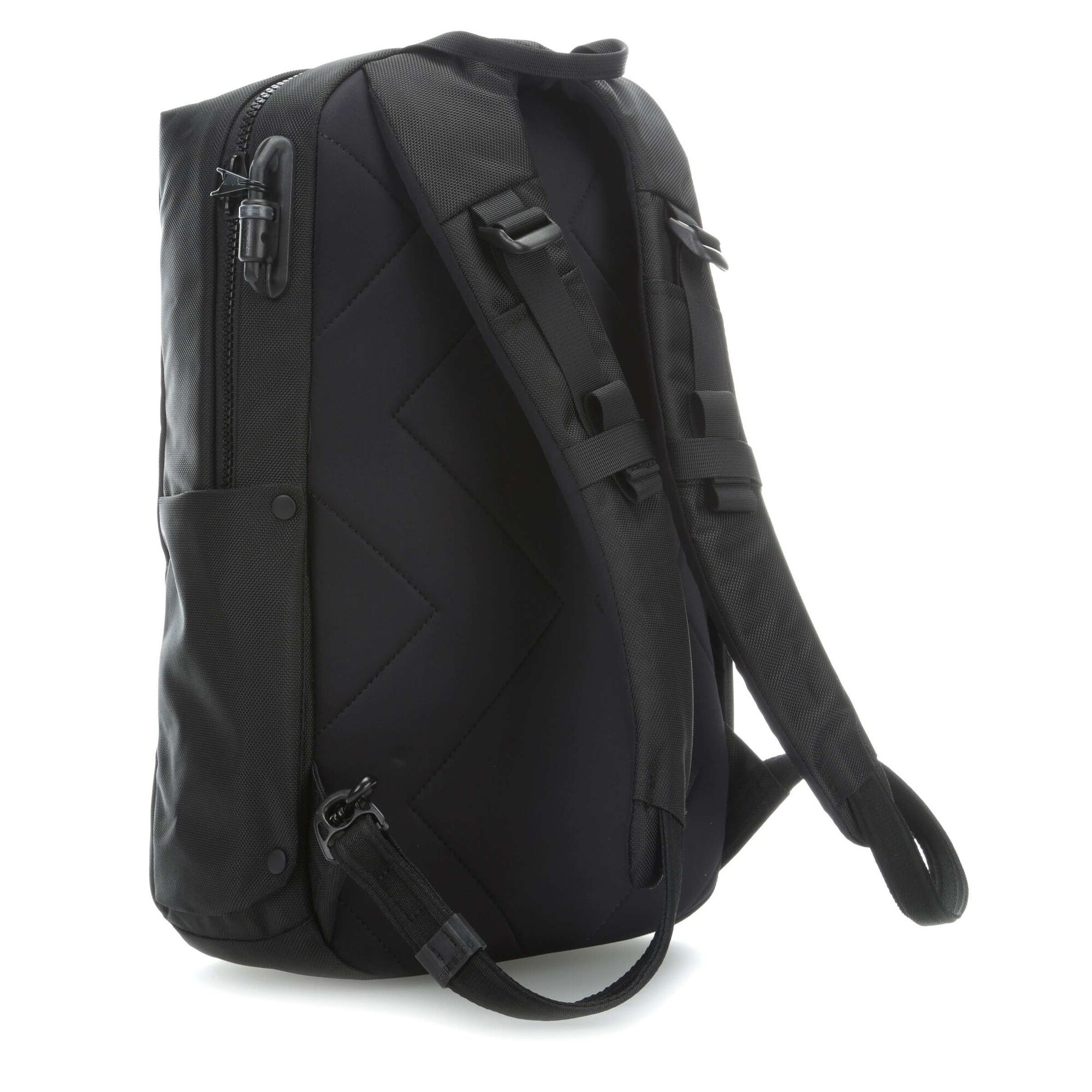pacsafe intasafe 20l backpack