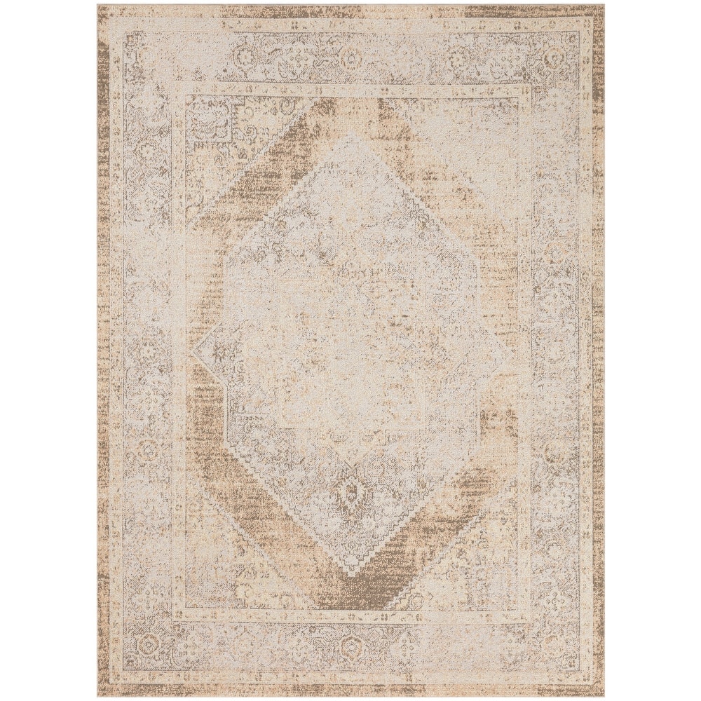 Nourison Astra Machine Washable Persian Area Rug