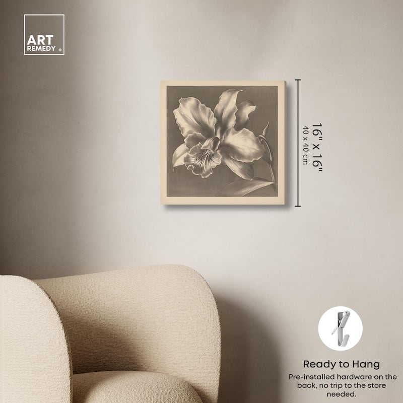 Petals Unfurled I Canvas by Art Remedy, Gallery Wrapped