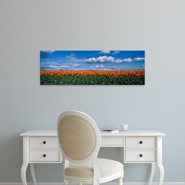 Easy Art Prints Panoramic Images's 'Clouds over a tulip field, Skagit Valley, Washington State, USA' Canvas Art