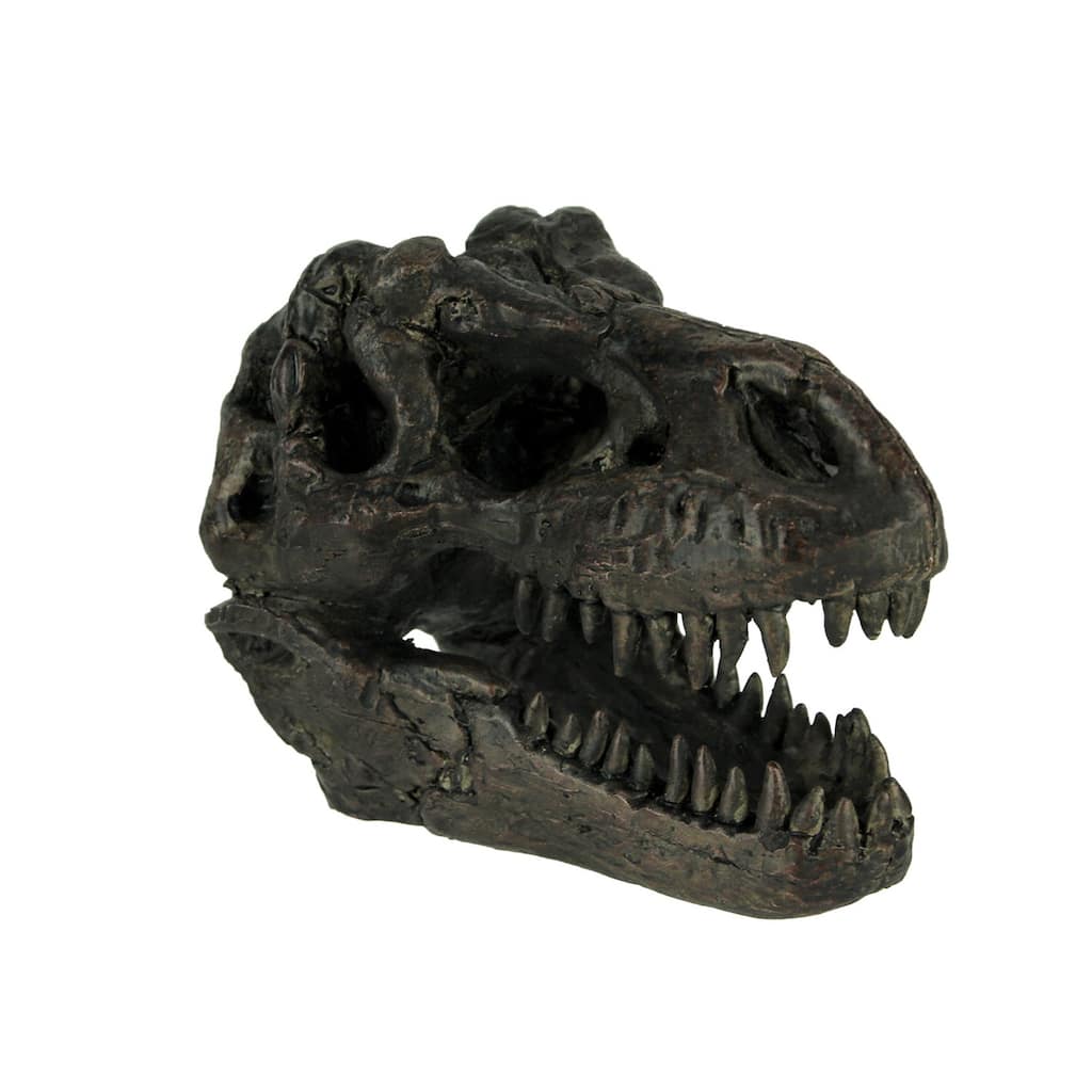 Tyrannosaurus Rex Dinosaur Head Fossil Statue Small - 4 X 5.75 X 3 inches