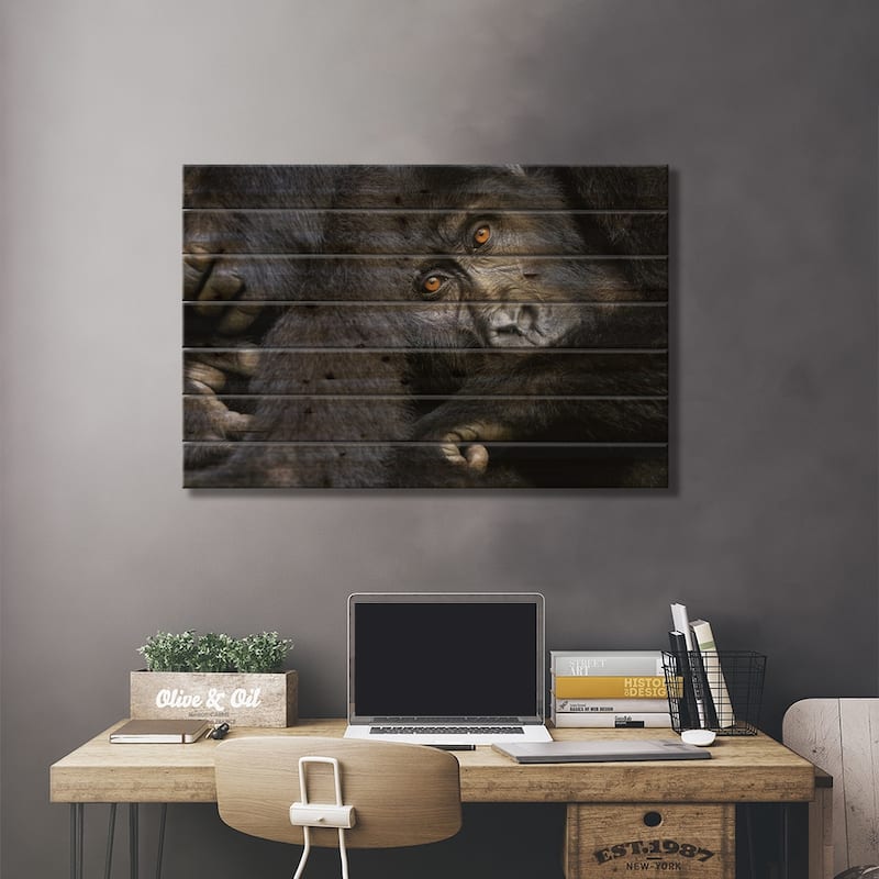 Gorilla, Bwindi Impenetrable Forest Print On Wood by Jane Rix - Multi-Color