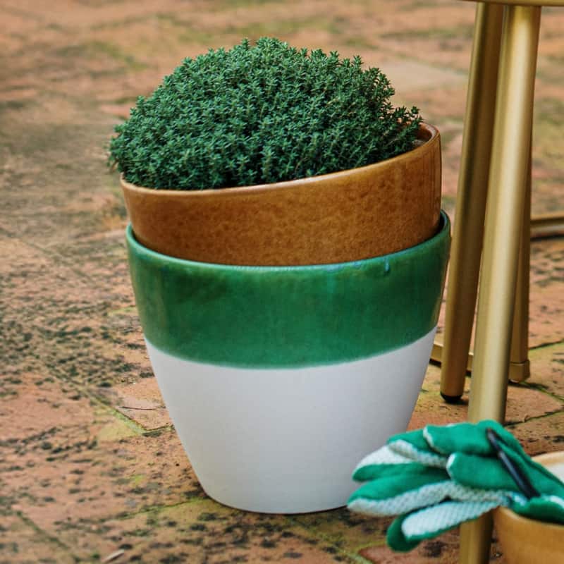 Viva Garden Green Reactive Large Cachepot