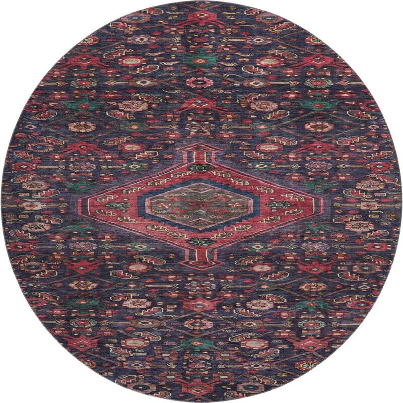 Premium Washable Super Soft Traditional Global Mayfield Rug