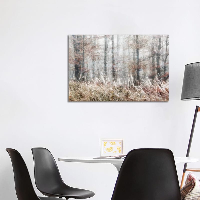 iCanvas "Always Magic In The Woods" by Irene Weisz Canvas Print - 26x40x1.5