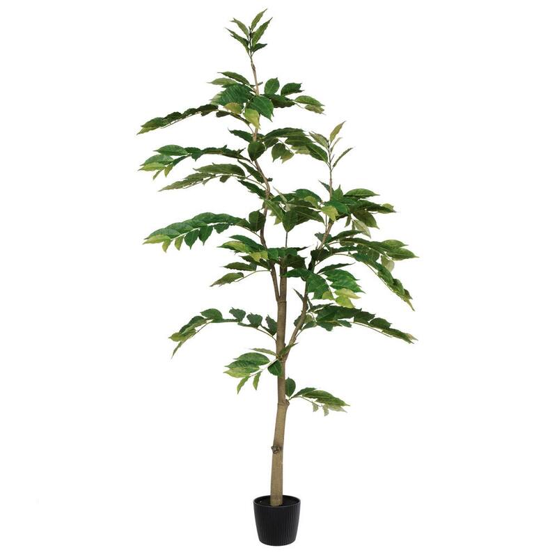 Vickerman 6' Green Nandina Everyday Tree On Sale Bed Bath & Beyond